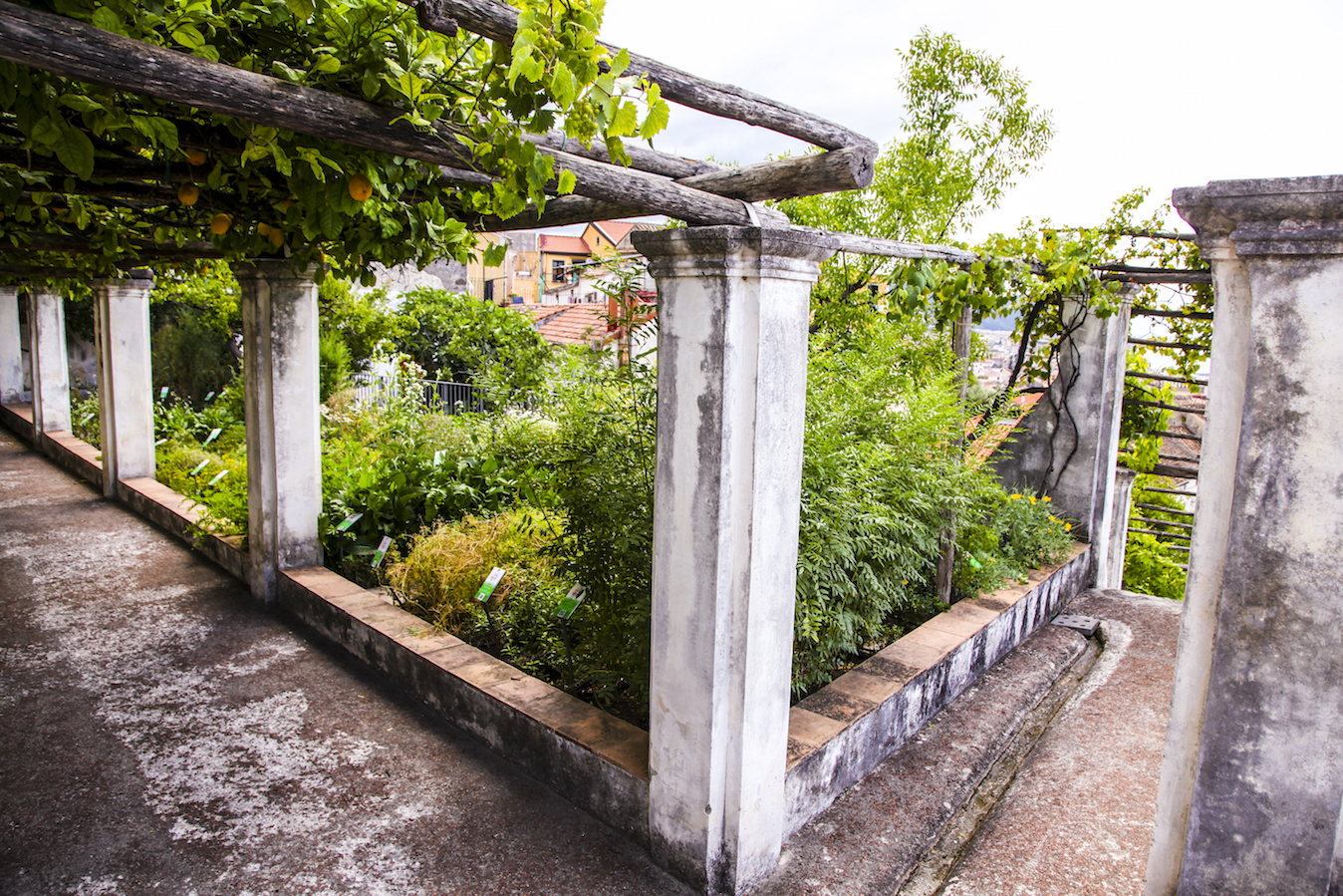 Terrazzamento Giardino della Minerva