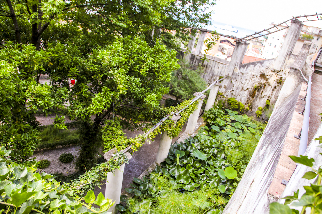 Terrazzamento Giardino della Minerva