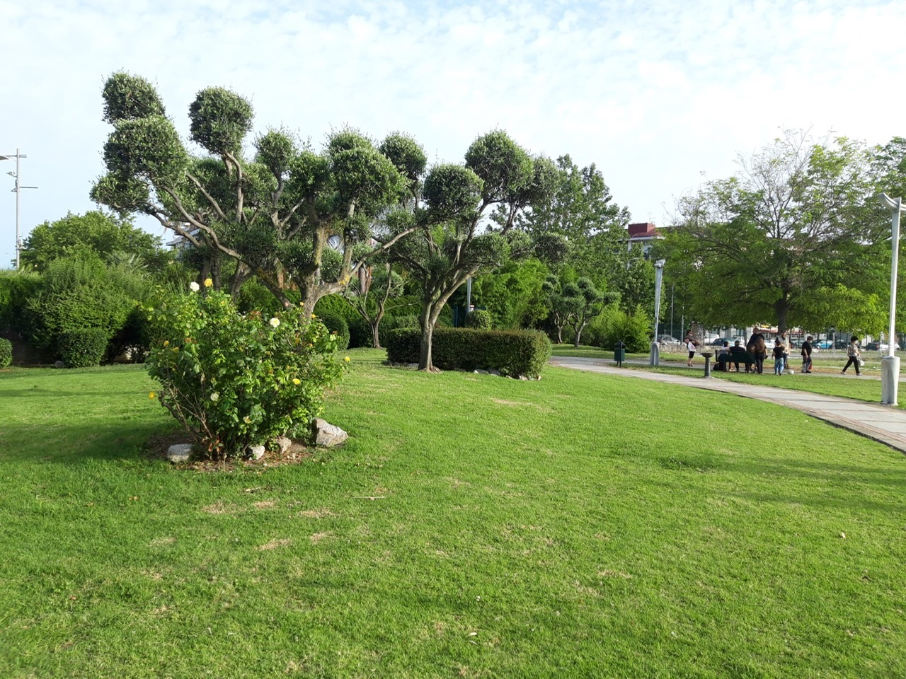 Area del prato, Parco del Mecatello