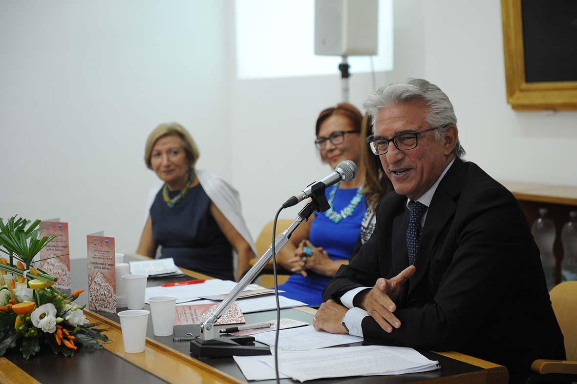 ?Il verde antico e l?ampio golfo di Salerno"