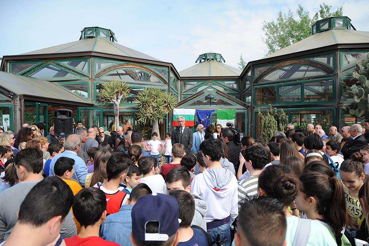 Inaugurazione Albero Culturale