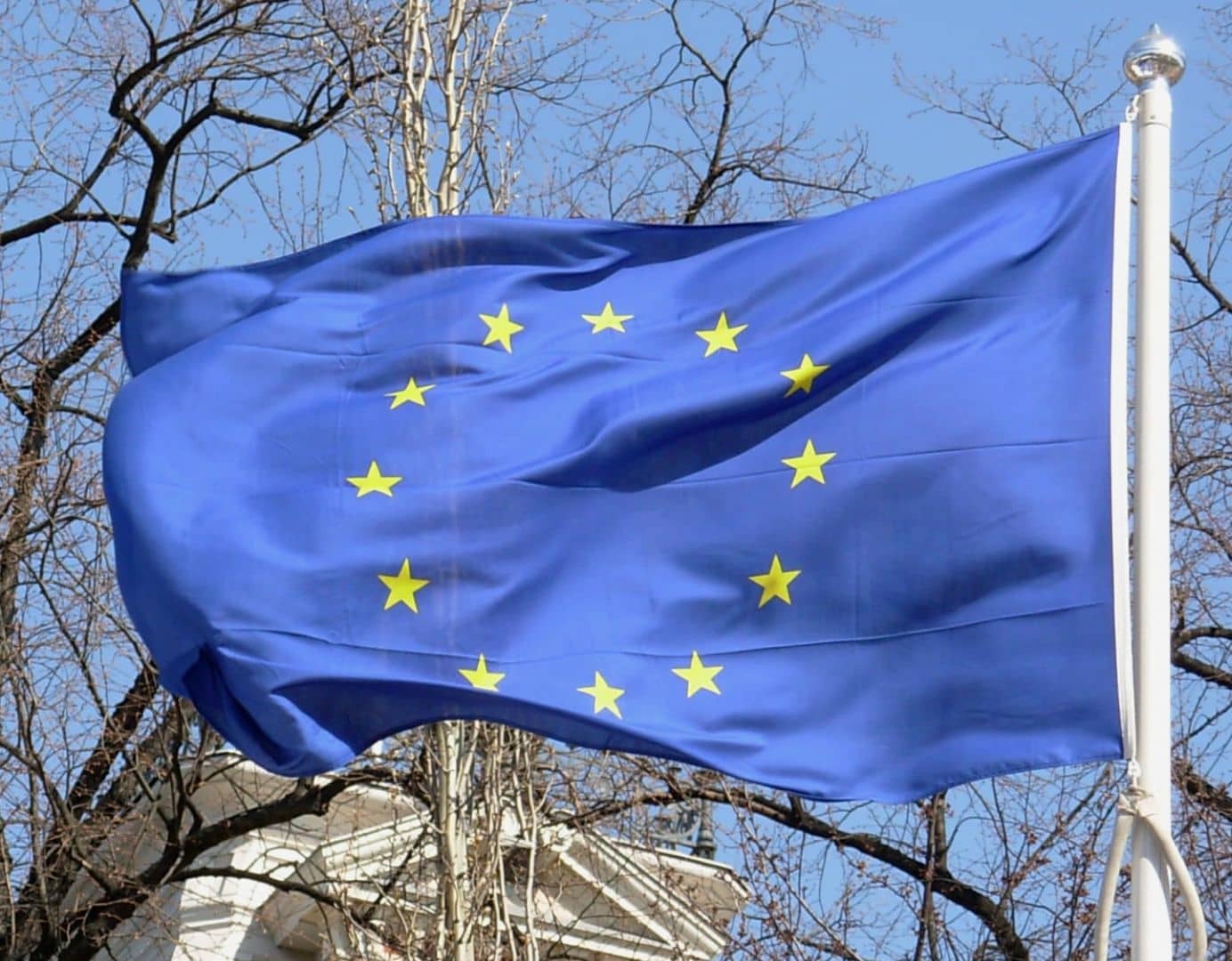 Bandiera dell'Unione Europea Bandiera dell'Unione Europea